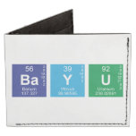 Bayu  Wallet Tyvek® Billfold Wallet