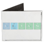 levani  Wallet Tyvek® Billfold Wallet