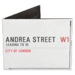 Andrea street   Wallet Tyvek® Billfold Wallet