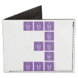 LiLiLi
 Li
 Lili
 Li
 Lilili  Wallet Tyvek® Billfold Wallet