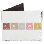 Anjali  Wallet Tyvek® Billfold Wallet