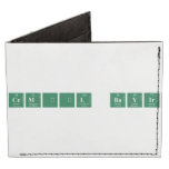 CEMİL BAYIR  Wallet Tyvek® Billfold Wallet