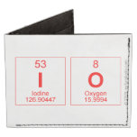 io  Wallet Tyvek® Billfold Wallet