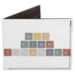 Luis
 Tuesta
 Vásquez  Wallet Tyvek® Billfold Wallet