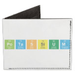 Potassium  Wallet Tyvek® Billfold Wallet