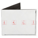 C a l y  Wallet Tyvek® Billfold Wallet