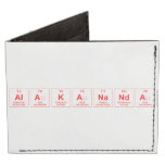 Alakananda  Wallet Tyvek® Billfold Wallet