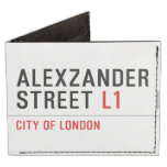 alexzander Street  Wallet Tyvek® Billfold Wallet