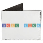 carpe diem  Wallet Tyvek® Billfold Wallet