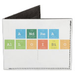 Andrea
 Alloisio
   Wallet Tyvek® Billfold Wallet