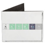 Kayden  Wallet Tyvek® Billfold Wallet
