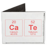 cate  Wallet Tyvek® Billfold Wallet