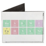 RUSDWI
 CAHYANI  Wallet Tyvek® Billfold Wallet