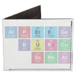 alperege
     burcu
    serhat  Wallet Tyvek® Billfold Wallet