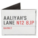Aaliyah's  Lane  Wallet Tyvek® Billfold Wallet