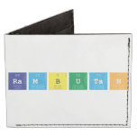 RAMBUTAN  Wallet Tyvek® Billfold Wallet