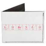 lorenzo  Wallet Tyvek® Billfold Wallet