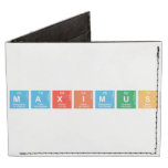 MAXIMUS  Wallet Tyvek® Billfold Wallet