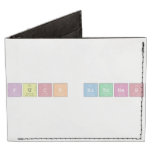 Fuck Bitches  Wallet Tyvek® Billfold Wallet