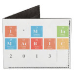 I'M IN
 MATRIC
 2013  Wallet Tyvek® Billfold Wallet