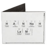 Hannah 
 Lam  Wallet Tyvek® Billfold Wallet