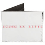 Hlonie wa thabang  Wallet Tyvek® Billfold Wallet