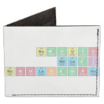 NOMVUYO
 NDLAZI
 NONHLAKANIPHO  Wallet Tyvek® Billfold Wallet