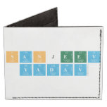 Sanjeev
 Yadav  Wallet Tyvek® Billfold Wallet