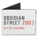 Obsidian Street  Wallet Tyvek® Billfold Wallet