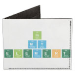 IN
 MY
 ELEMENT  Wallet Tyvek® Billfold Wallet