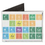 TSHIAMO
 JASON
 MANAMELA
 MASILELA  Wallet Tyvek® Billfold Wallet