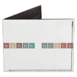 Monsieur Laghdir  Wallet Tyvek® Billfold Wallet