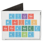 AYLINE
 MARIAH
 HERNANDEZ
 AYALA  Wallet Tyvek® Billfold Wallet