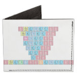 Stheletso
 Theletso
 Heletso
 Eletso
 Letso
 Etso
 Tso
 SthembisoKeletso  Wallet Tyvek® Billfold Wallet