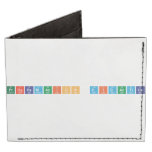 PROGRAMACION DIDACTICA  Wallet Tyvek® Billfold Wallet