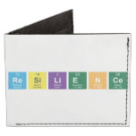 Resilience  Wallet Tyvek® Billfold Wallet