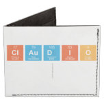 claudio
   Wallet Tyvek® Billfold Wallet