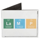 Lamp  Wallet Tyvek® Billfold Wallet