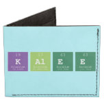 Kalee  Wallet Tyvek® Billfold Wallet