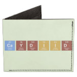 CAYDIID  Wallet Tyvek® Billfold Wallet