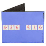 COSTA RICA  Wallet Tyvek® Billfold Wallet