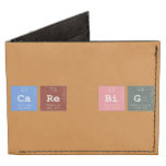 CARE BIG  Wallet Tyvek® Billfold Wallet
