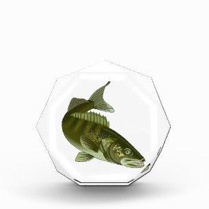 Walleye Acrylic Award