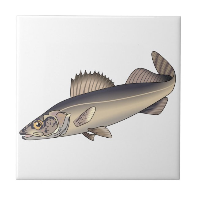 Walleye Fish Ceramic Tile (Front)