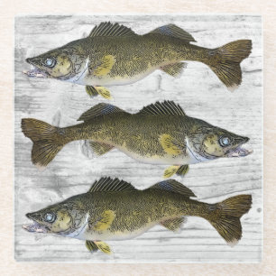 Walleye Fishing Rustic Cabin Cottage Look Fish Glass Coaster