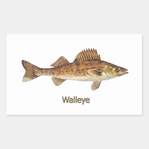 Walleye Great Lakes Rectangular Sticker