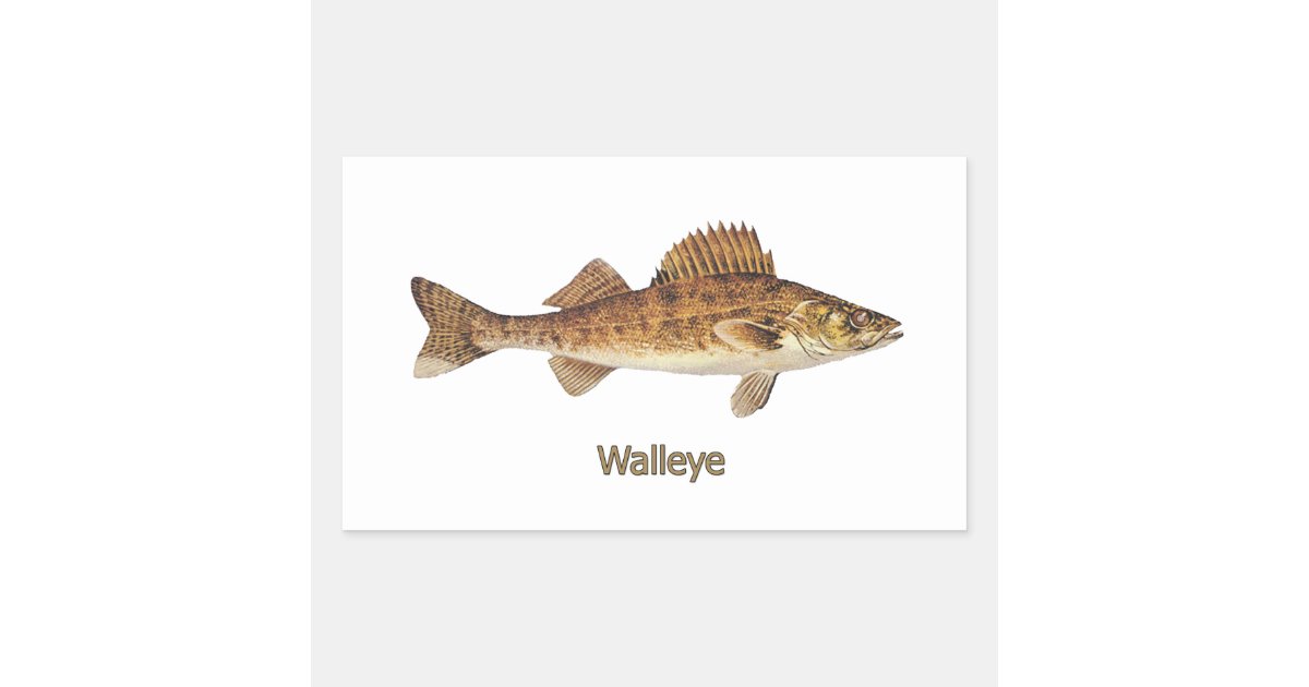 Walleye Decal Walleye Vinyl Decal Walleye Sticker Fish Decal Fish Sticker  Ice Fishing Decal Fisherman Decal Fishing Decal -  Canada