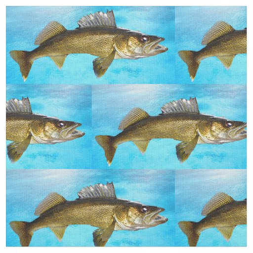 Walleye Pattern on Blue Fabric