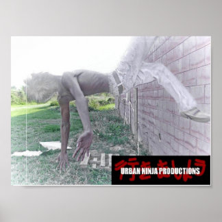 wallflip poster