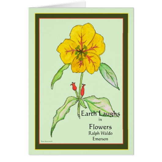 Wallflower Cards (Front)
